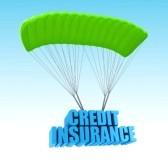 Credit Insurance