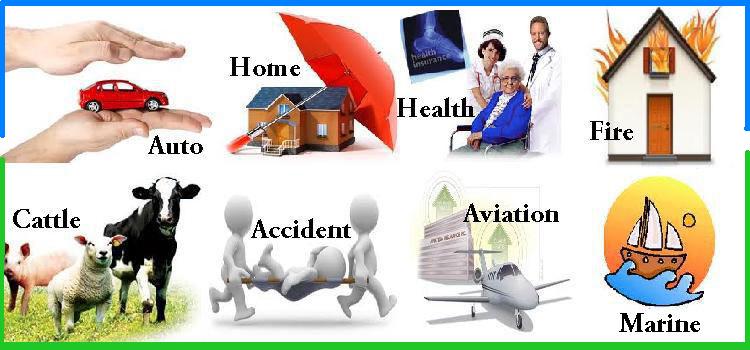 General Insurance